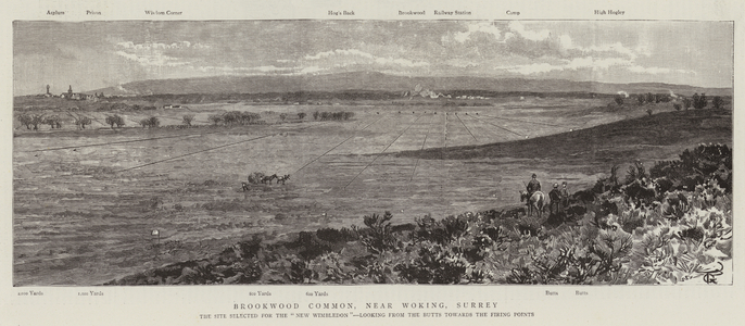 Brookwood Common, near Woking, Surrey (engraving)