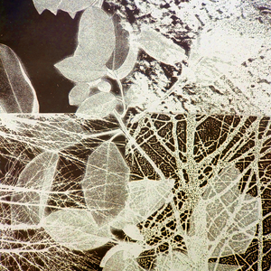 Night Forest, 2018 (digital)