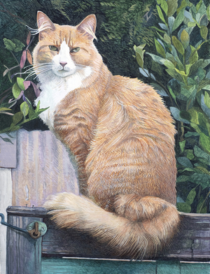 Monty (oil on canvas) 