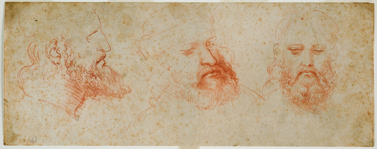 Three views of manly head with beard, c. 1502 (blood on paper)