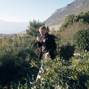 Joachim Fuchsberger wanders smoking a pipe through a field near the ruins of Delphi, Greece 1970s