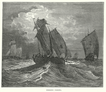 Herring Fishing (engraving)