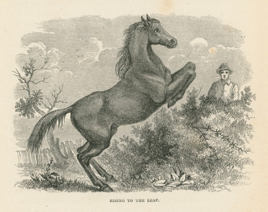 Rising to the Leap (engraving)