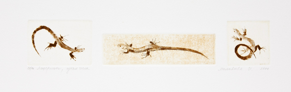 Lizards (Lacertilia), 2000 (drypoint)