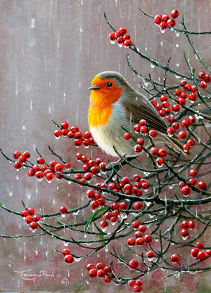 Rainy day robin, 2022 (acrylic)