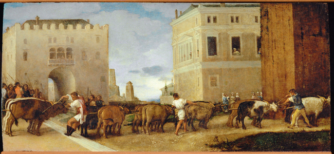 The oxen of Saint Lucia