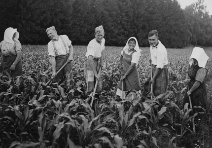 Members of the RAD during field work, 1939 (b/w photo)