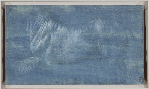 The body of a horse in profile, c.1490 (metalpoint, with white heightening, on blue prepared paper)