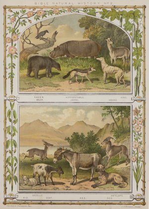 Bible Natual History, No. 2 (chromolitho)
