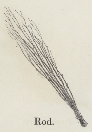 Rod (engraving)