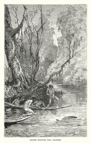 Indians shooting fish, Ecuador (engraving)
