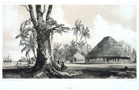 tribal meeting hut from the French Polynesian Island of Opoulou