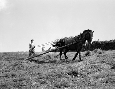 Sem, Borre, Vestfold, 19530701 Summer at the farm. Children and adults …, 1953 (photo)