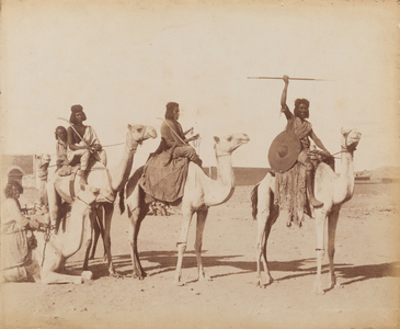 Group of Bicharin men riding camels, c.1900 (b/w photo)