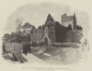 The Royal Visit to Ireland, the Duke and Duchess of York at Muckross Abbey (litho)