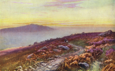 Heather on the Devonshire Moors (colour litho)