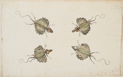 Winged insects.