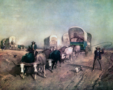 Train of Conestoga Wagons in 1850s America, 1954 (screen print)