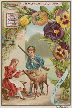 Pansy (chromolitho)