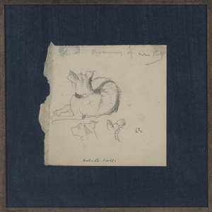 Studies of a dog (pencil on paper)