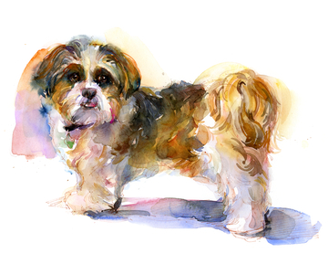 Murphy portrait, 2016 (watercolor)