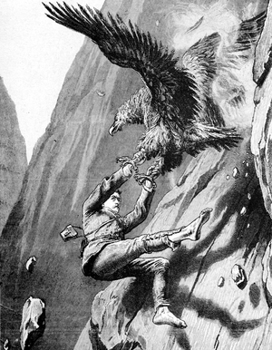 Vulture Attacking Man in the Himalayas, 1885 (engraving)