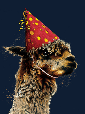 Birthday Alpaca on Midnight Blue, 2020, (pen and ink)