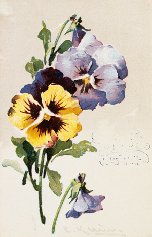 Vintage French postcard with floral decorations, 1900