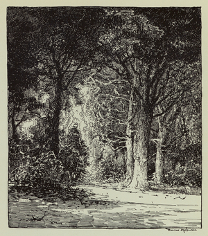 In Cranborne Chase (litho)