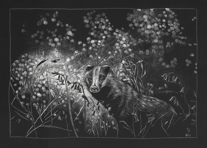 Spring Badger, 2023, (etching)