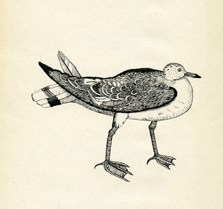 Illustration for 'The Glass Tower', 1944 (pen & ink on paper)