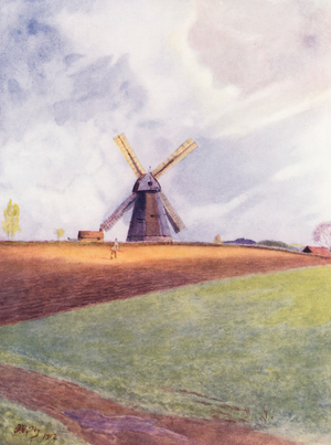 Surrey: Shiremark Mill, Capel (colour litho)