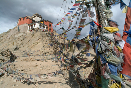 Prayer flags leading up to the 15th century Namgyal Tsemo Gompa, Ladakh, India (photo)