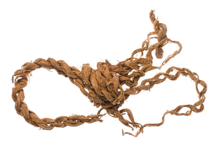 The rope used in the strangulation of the female sacrifice found with the principal burial.
