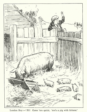 London boy on a visit to the country (litho)