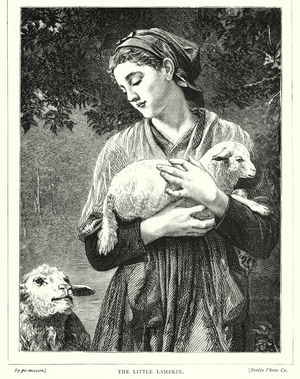 The Little Lambkin (engraving)