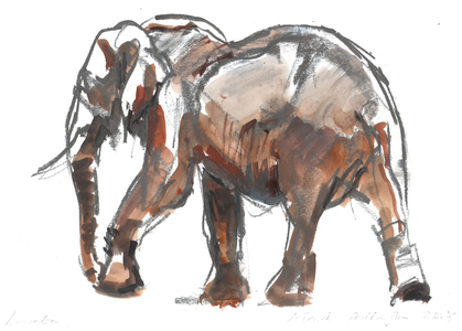 Loisaba conservancy, 2018 (mixed media on paper)