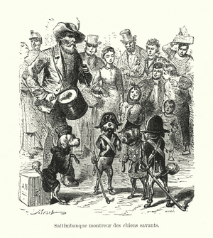 Saltimbanque montreur des chiens savants (engraving)