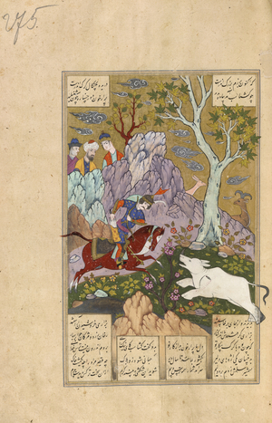 Gushtasp and the 'wolf'