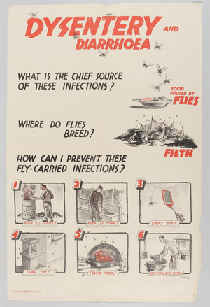 Dysentery and Diarrhoea, medical information poster, 1945 (poster, colour lithograph)