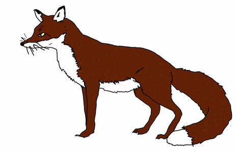 Fox, 2018 (digital drawing)