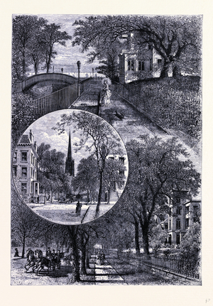 View of Brooklyn New York United States of America