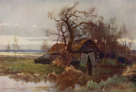 Old Boat-Houses, Barton Broad (colour litho)