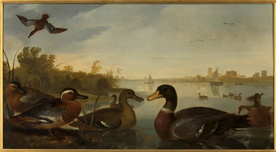 Ducks on the River Maas near Dordrecht, 1640 1660 (Oil on panel)