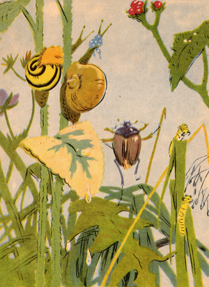 Insects and Snails in Grass, 1956 (litho)