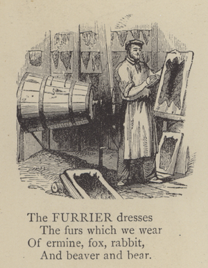 Furrier (engraving)