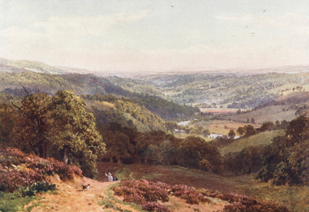Vale of Albury, from St Martha's Hill (colour litho)