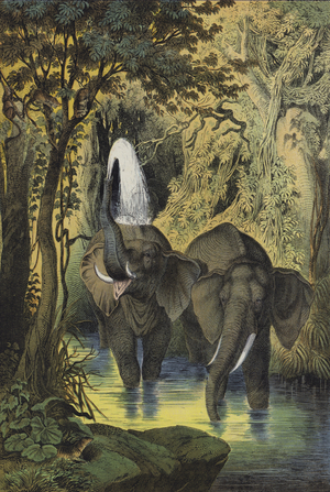 Animals of the marshy forests of the Sudan (colour litho)