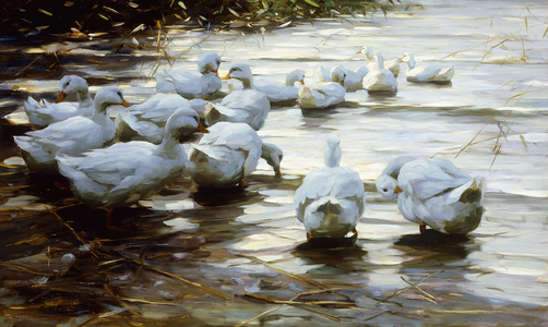 Ducks in Shallow Water Reed; Enten in Flachem Schilfwasser,  (oil on canvas)
