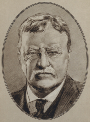 Portraits of American Statesmen: Theodore Roosevelt (litho)